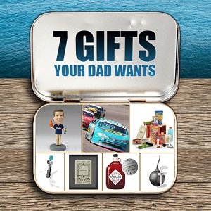 Holiday Gifts for Dad: Professional Christmas Gift Ideas